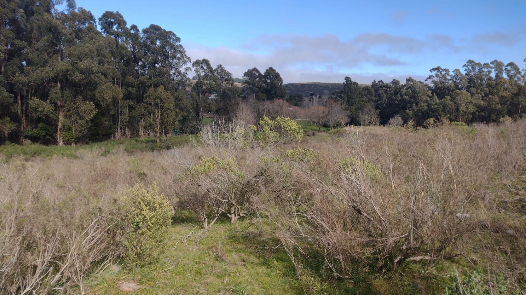 VENTA LOTES ZONA TURISTICA DESDE 7500 MTS