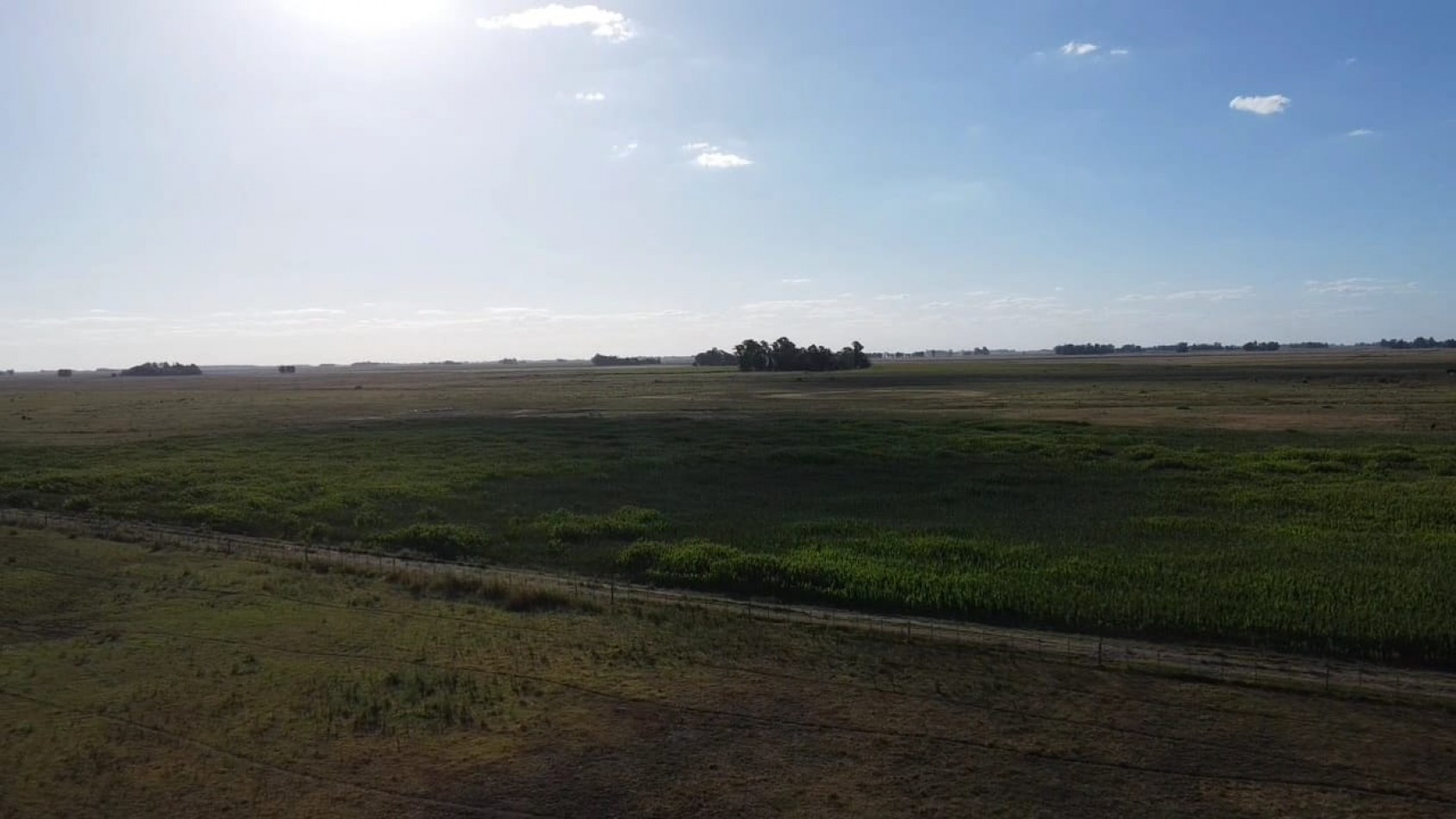 VENTA CAMPO 178 HAS MIXTO 