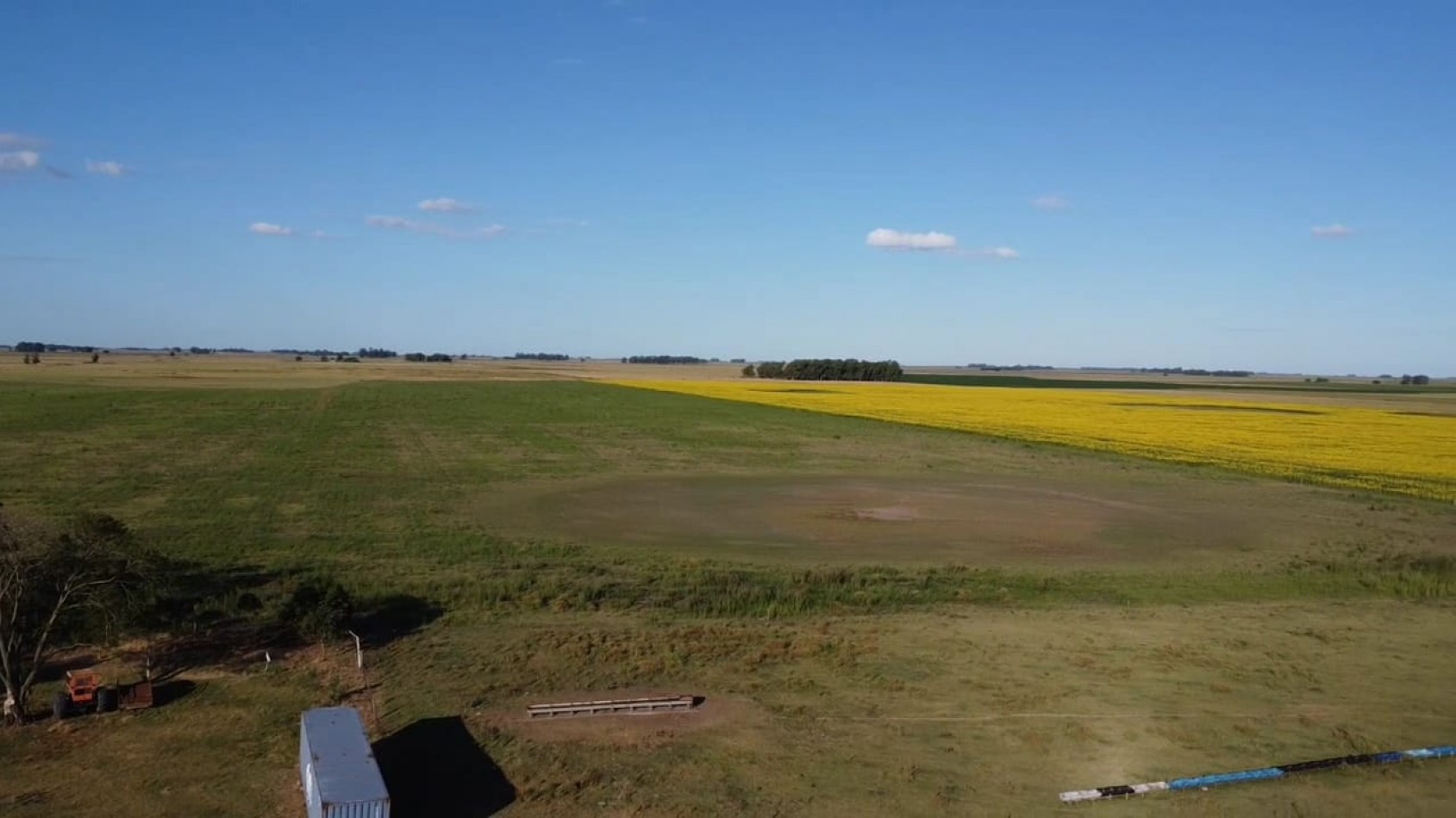 VENTA CAMPO 178 HAS MIXTO 