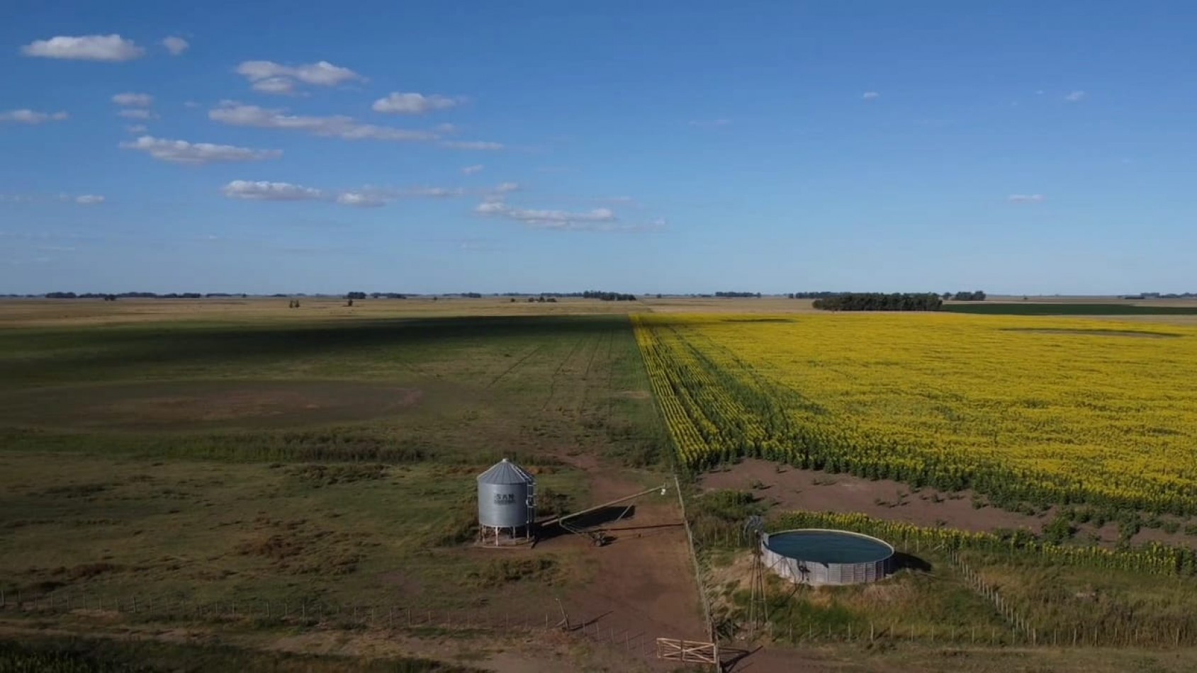 VENTA CAMPO 178 HAS MIXTO 