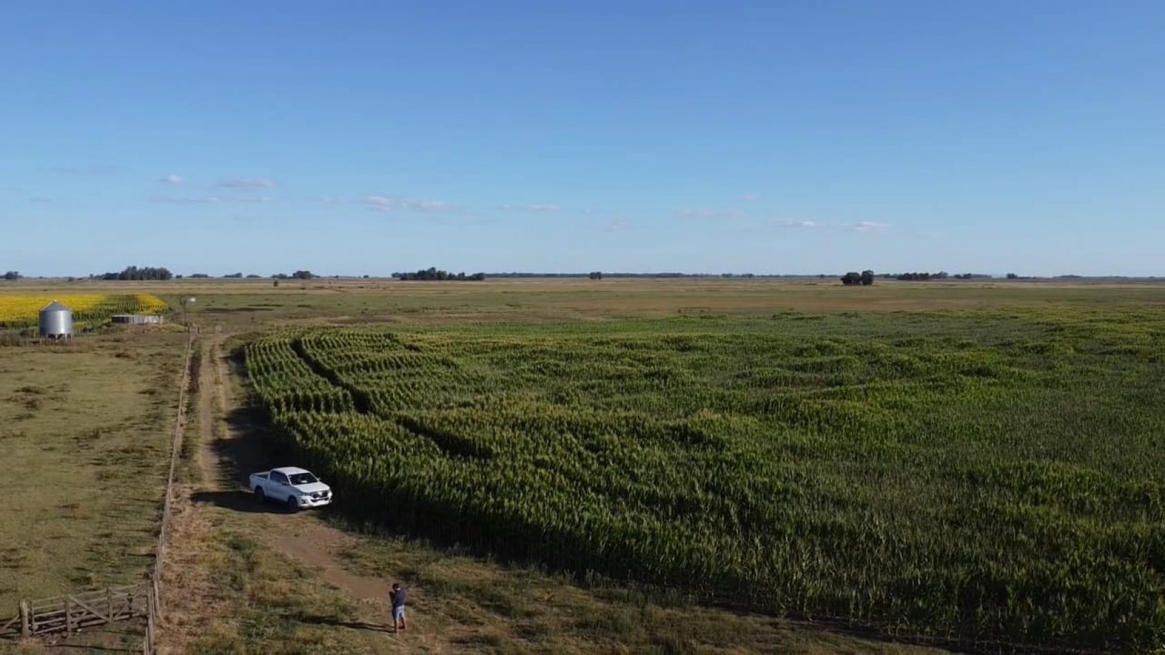 VENTA CAMPO 178 HAS MIXTO 