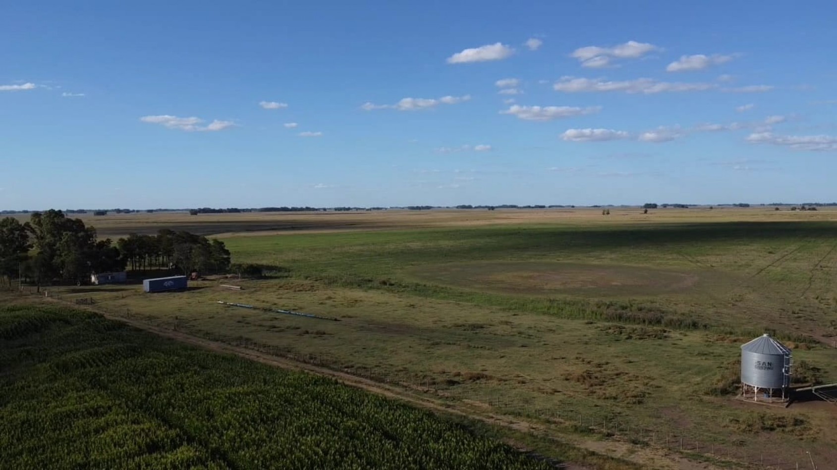 VENTA CAMPO 178 HAS MIXTO 