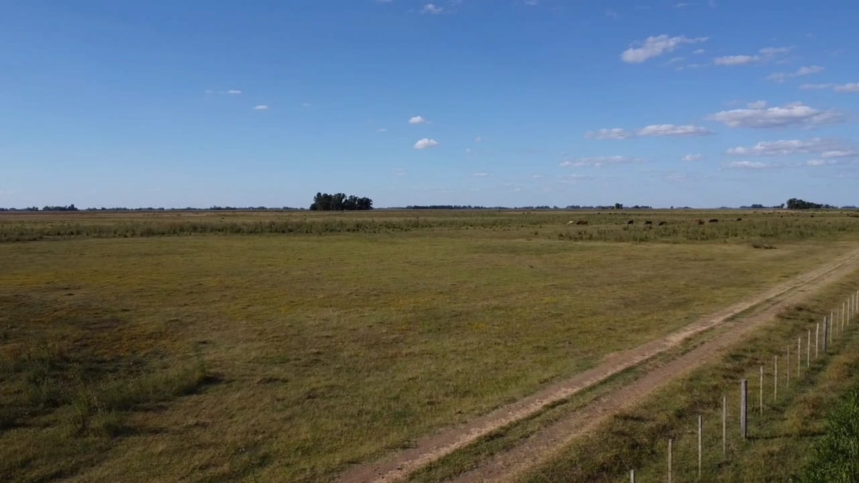 VENTA CAMPO 178 HAS MIXTO 