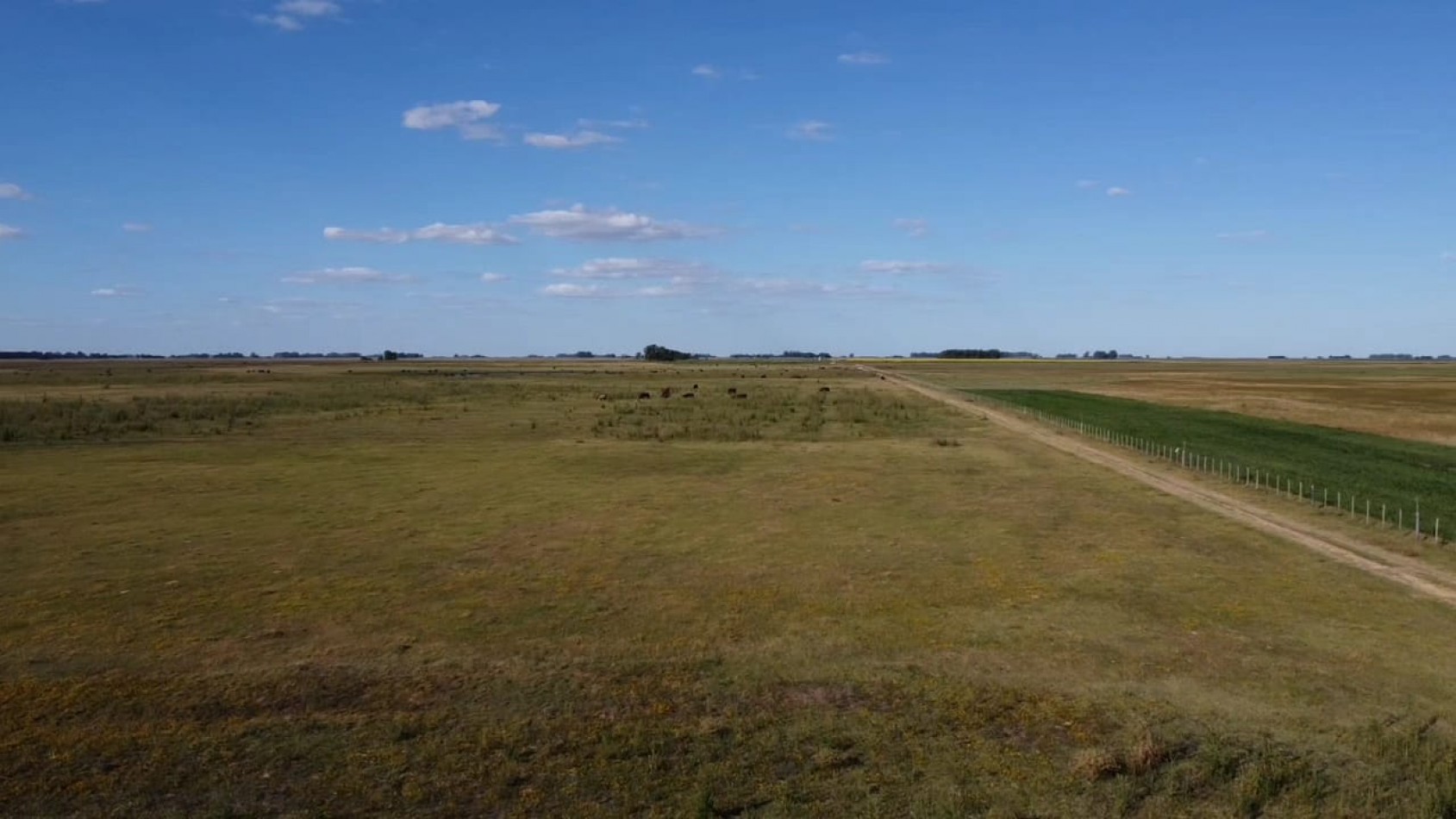 VENTA CAMPO 178 HAS MIXTO 