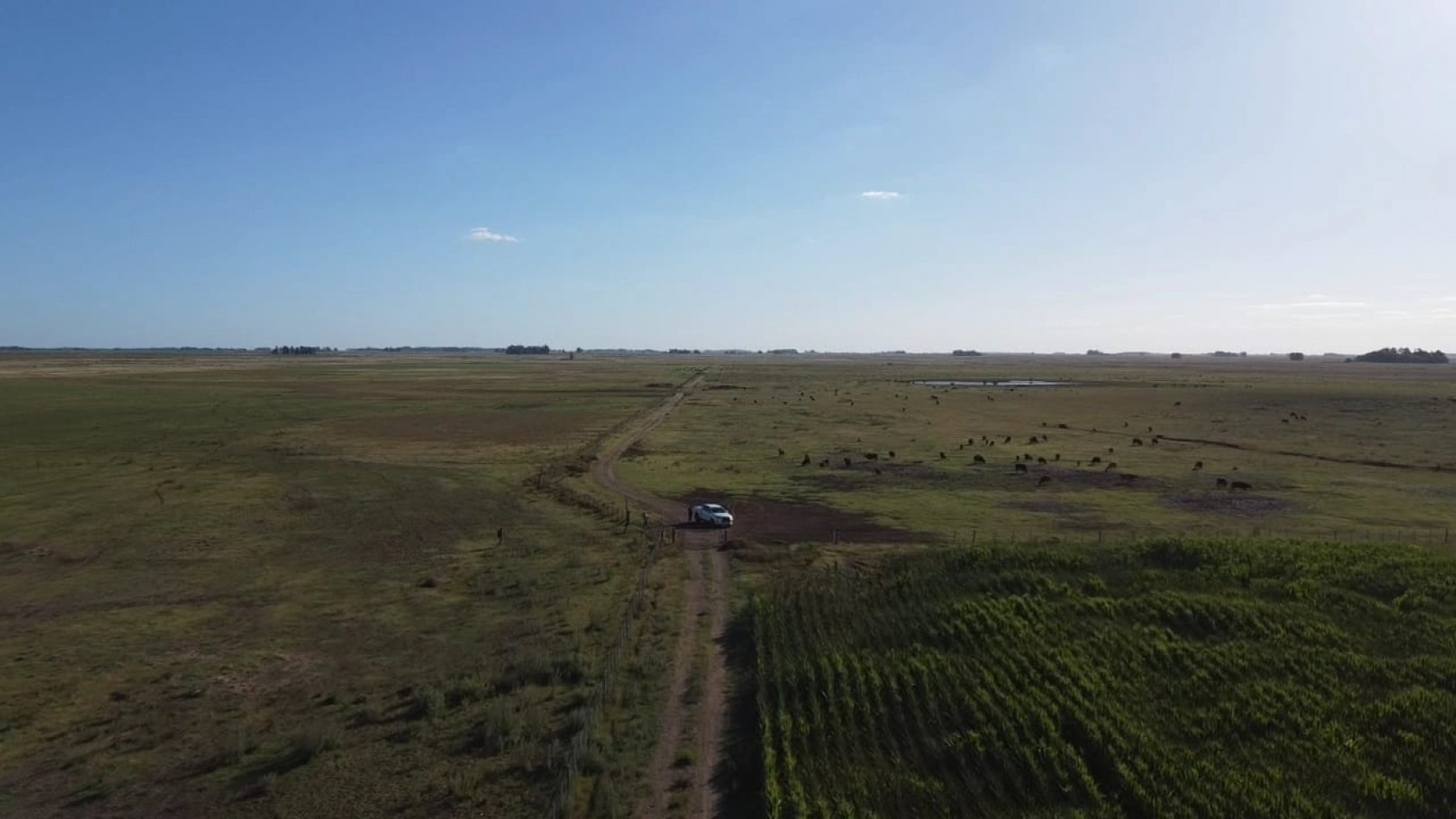 VENTA CAMPO 178 HAS MIXTO 