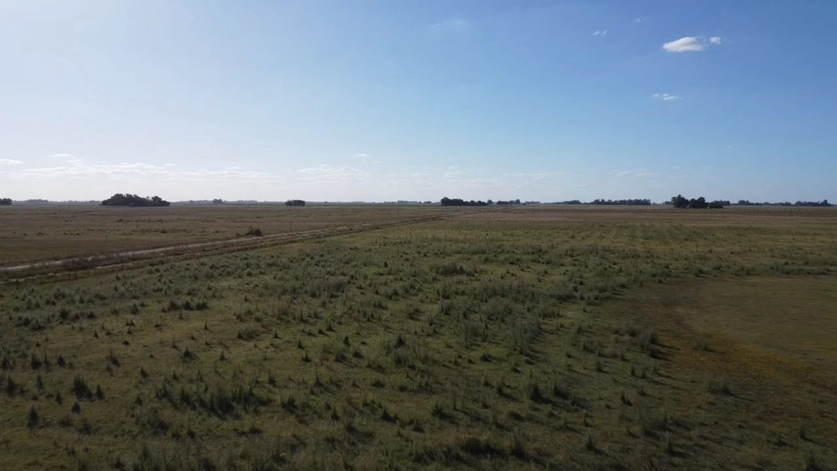 VENTA CAMPO 178 HAS MIXTO 