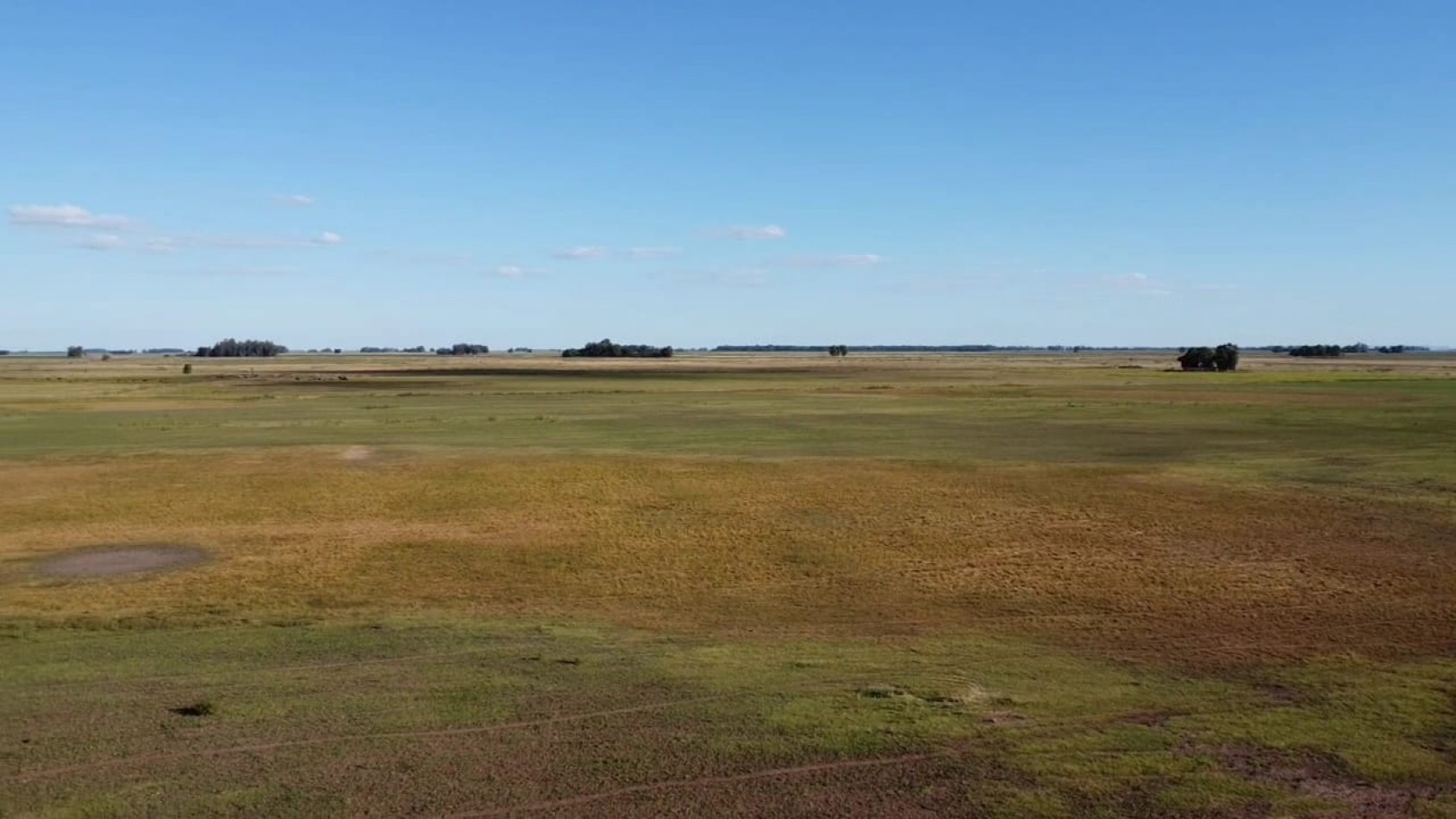 VENTA CAMPO 178 HAS MIXTO 