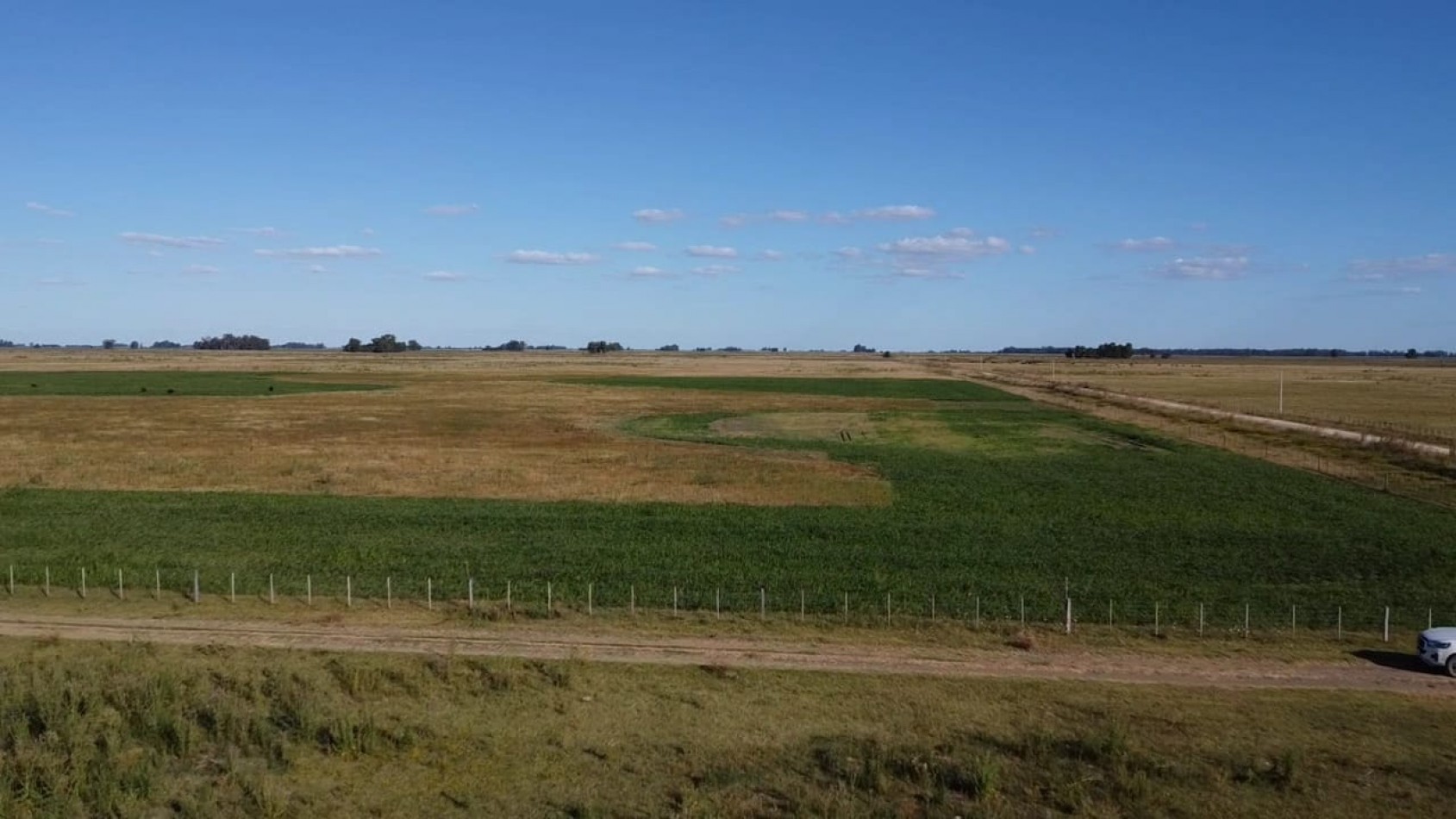 VENTA CAMPO 178 HAS MIXTO 