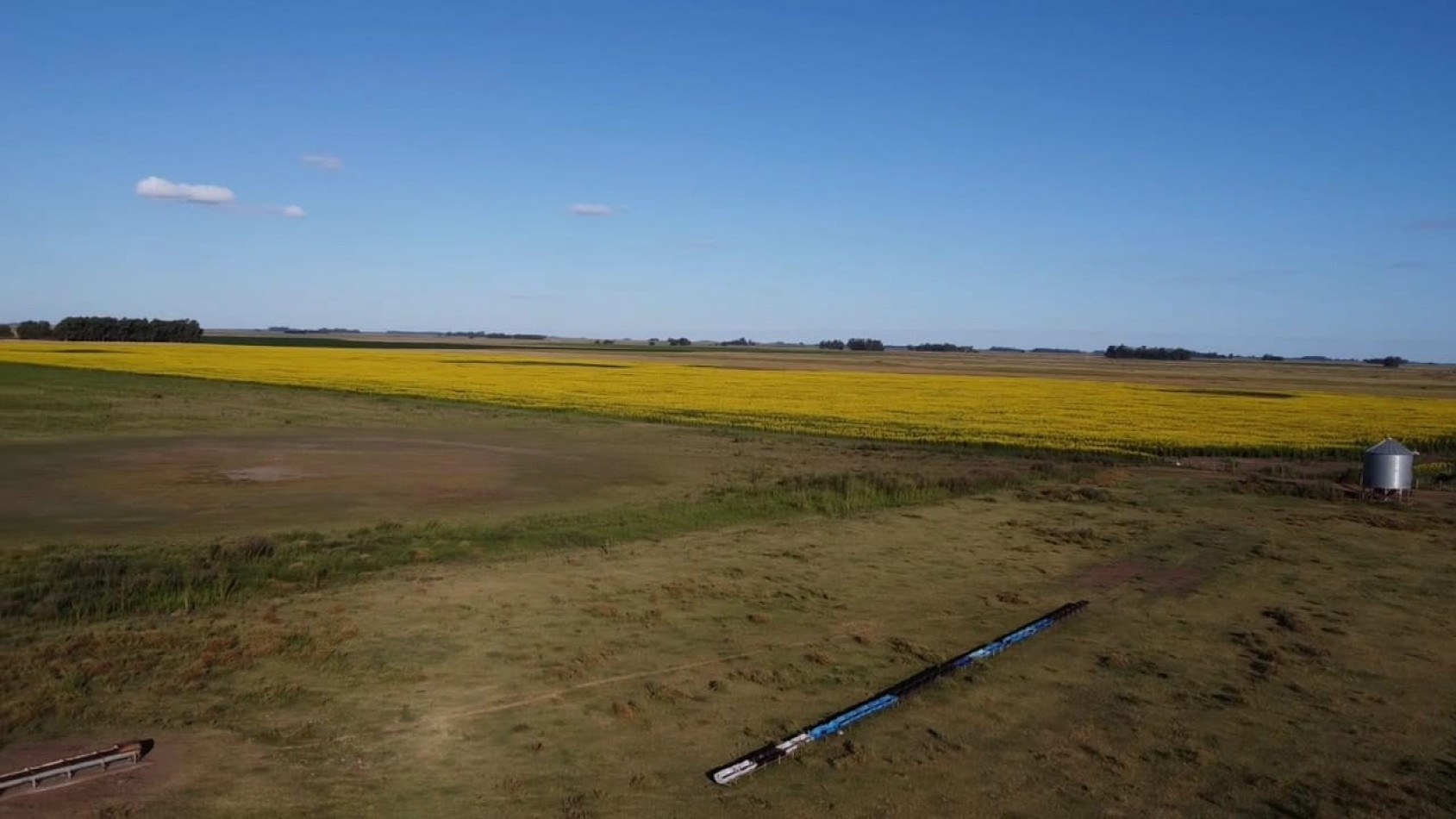 VENTA CAMPO 178 HAS MIXTO 