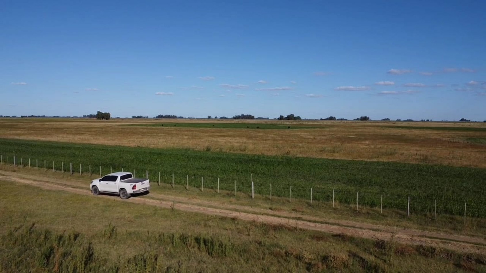 VENTA CAMPO 178 HAS MIXTO 