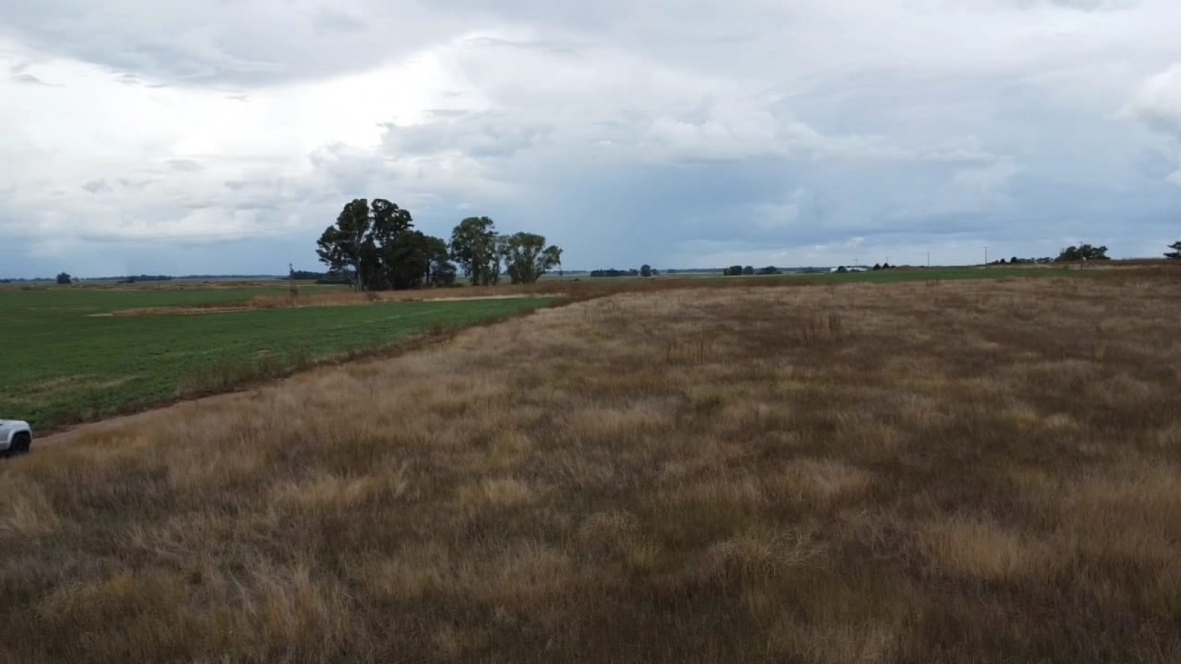 VENTA 3 HECTAREAS EN TANDIL