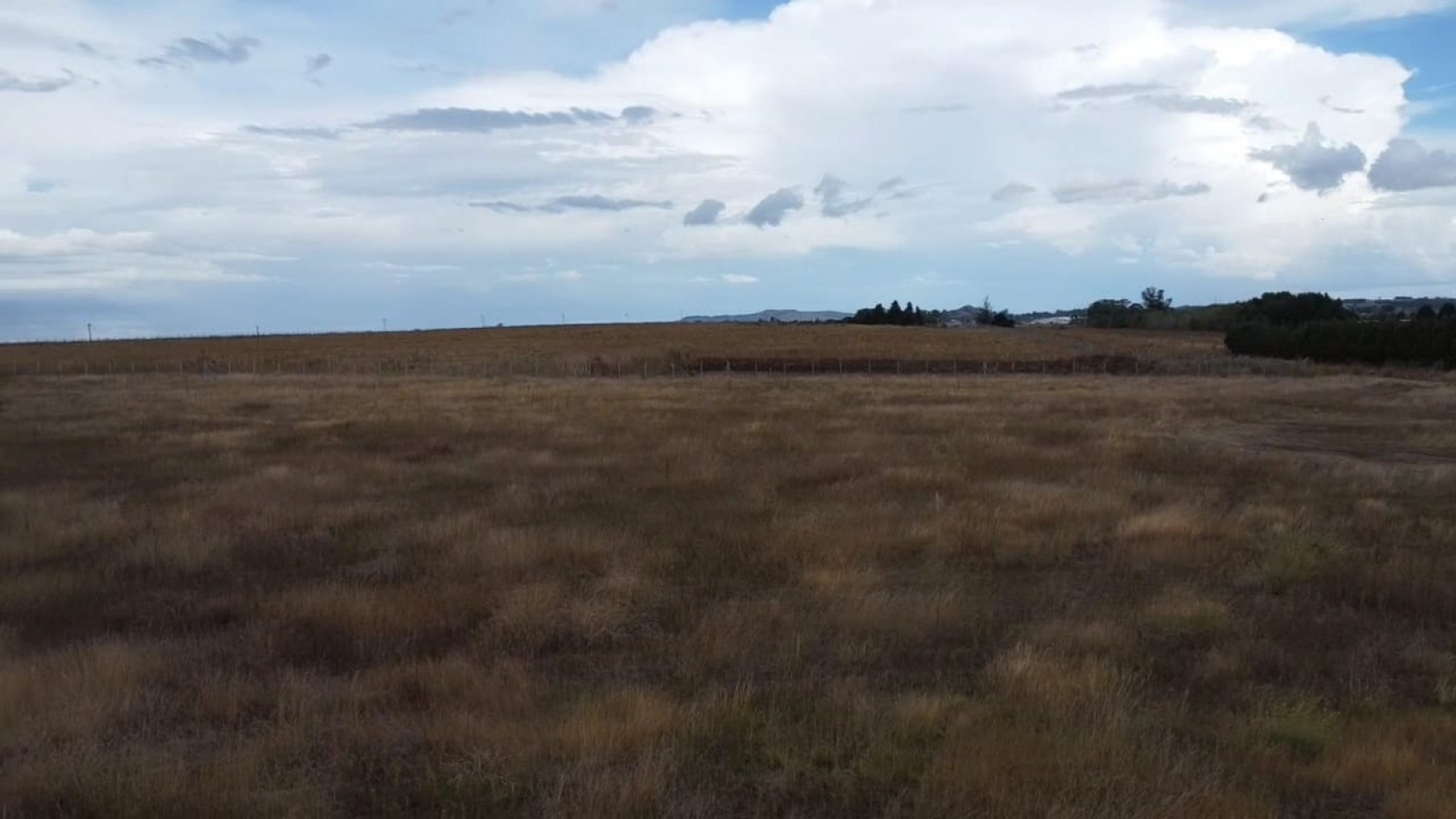 VENTA 3 HECTAREAS EN TANDIL