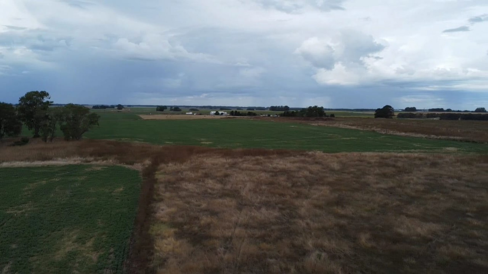 VENTA 3 HECTAREAS EN TANDIL