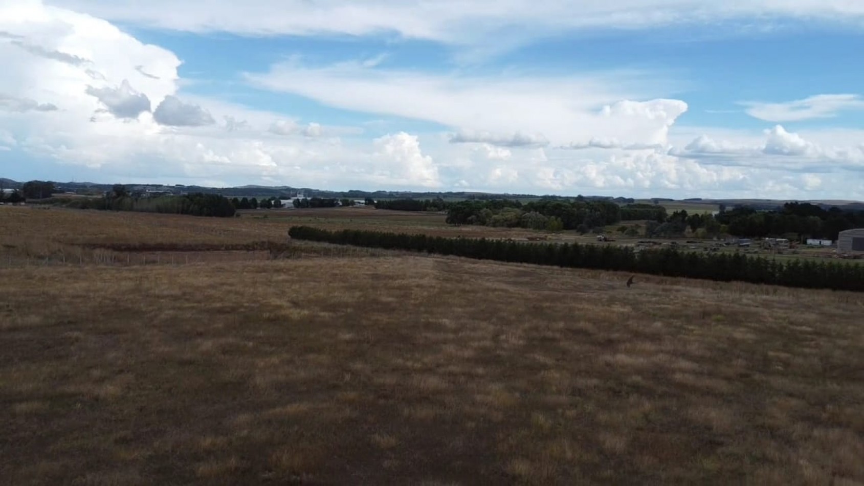 VENTA 3 HECTAREAS EN TANDIL