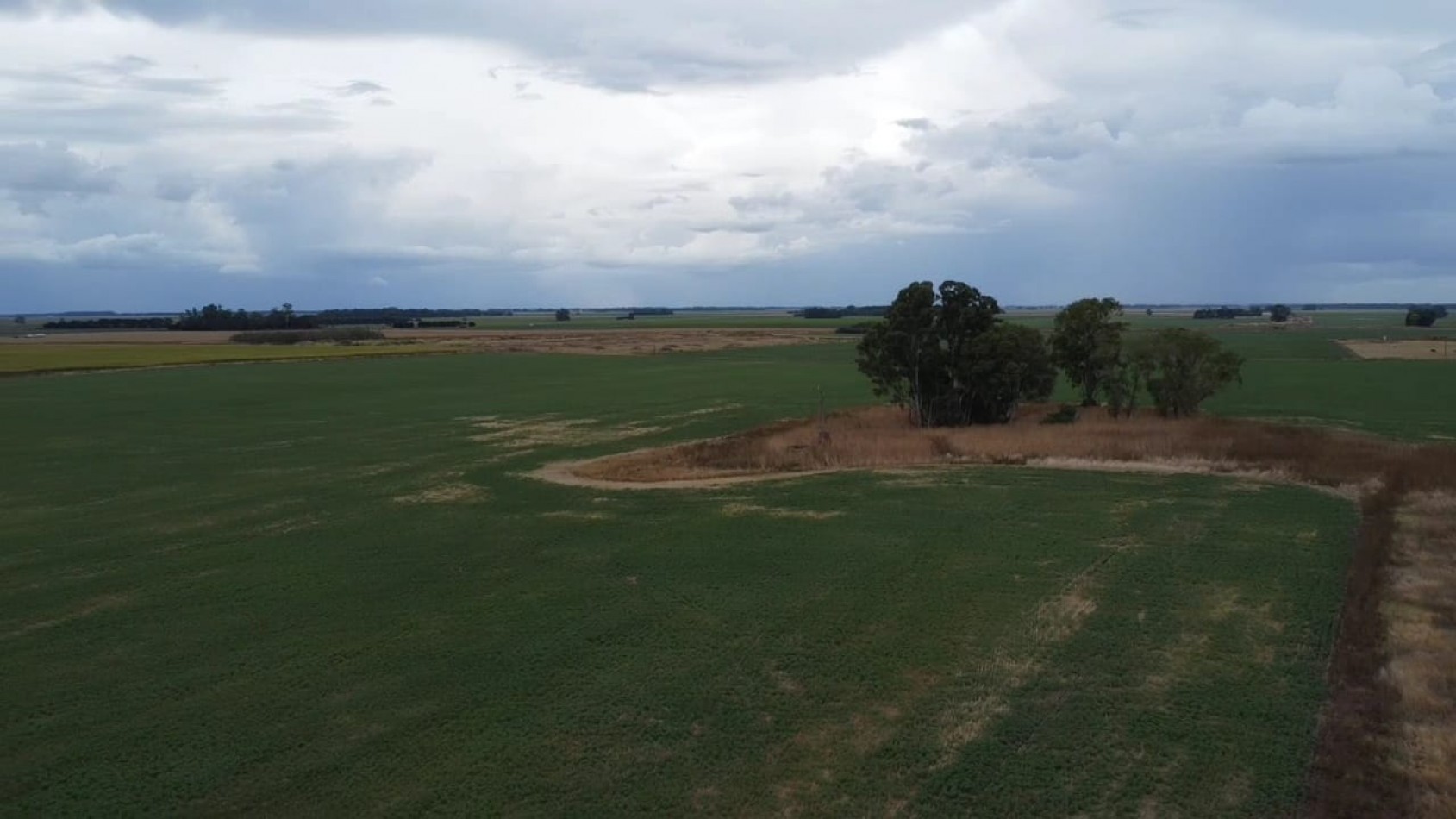 VENTA 3 HECTAREAS EN TANDIL