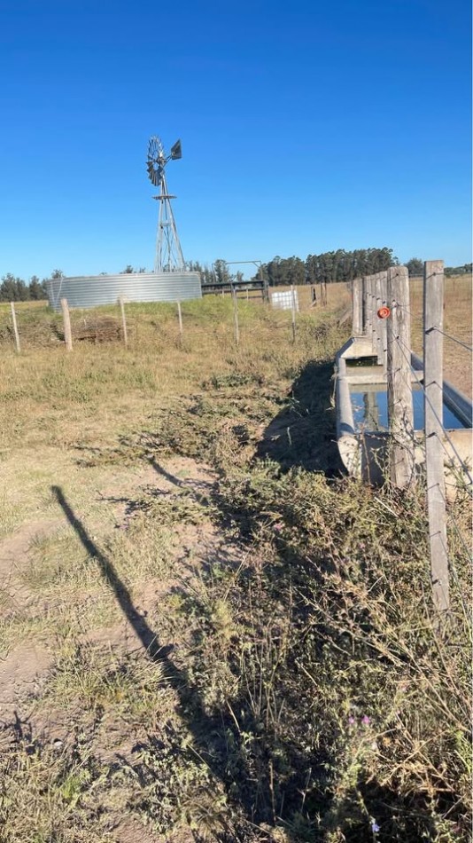 Quinta 5 ha Ayacucho con molino y acceso mejorado
