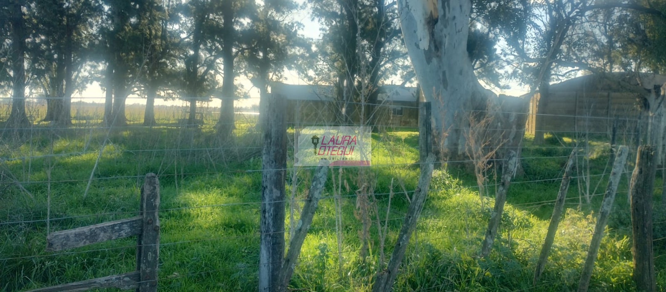 VENTA CAMPO GANADERO 302 HECTAREAS ZONA LABARDEN