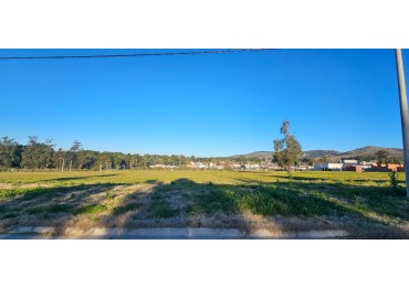 VENTA LOTE BARRIO LA FRANCESA 1000 MTS