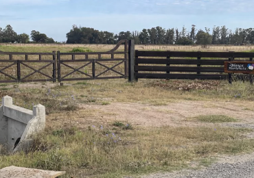 Quinta 5 ha Ayacucho con molino y acceso mejorado